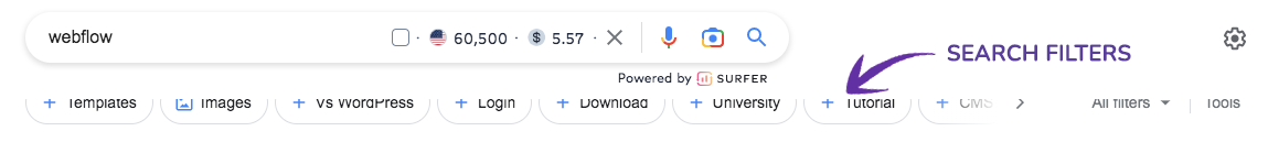 Фильтры SERP от Google | ApollonGuru Фильтры SERP от Google